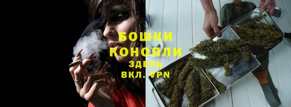 PSILOCYBIN Абдулино