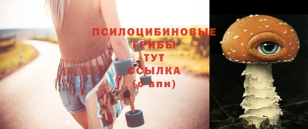 бошки Алексин